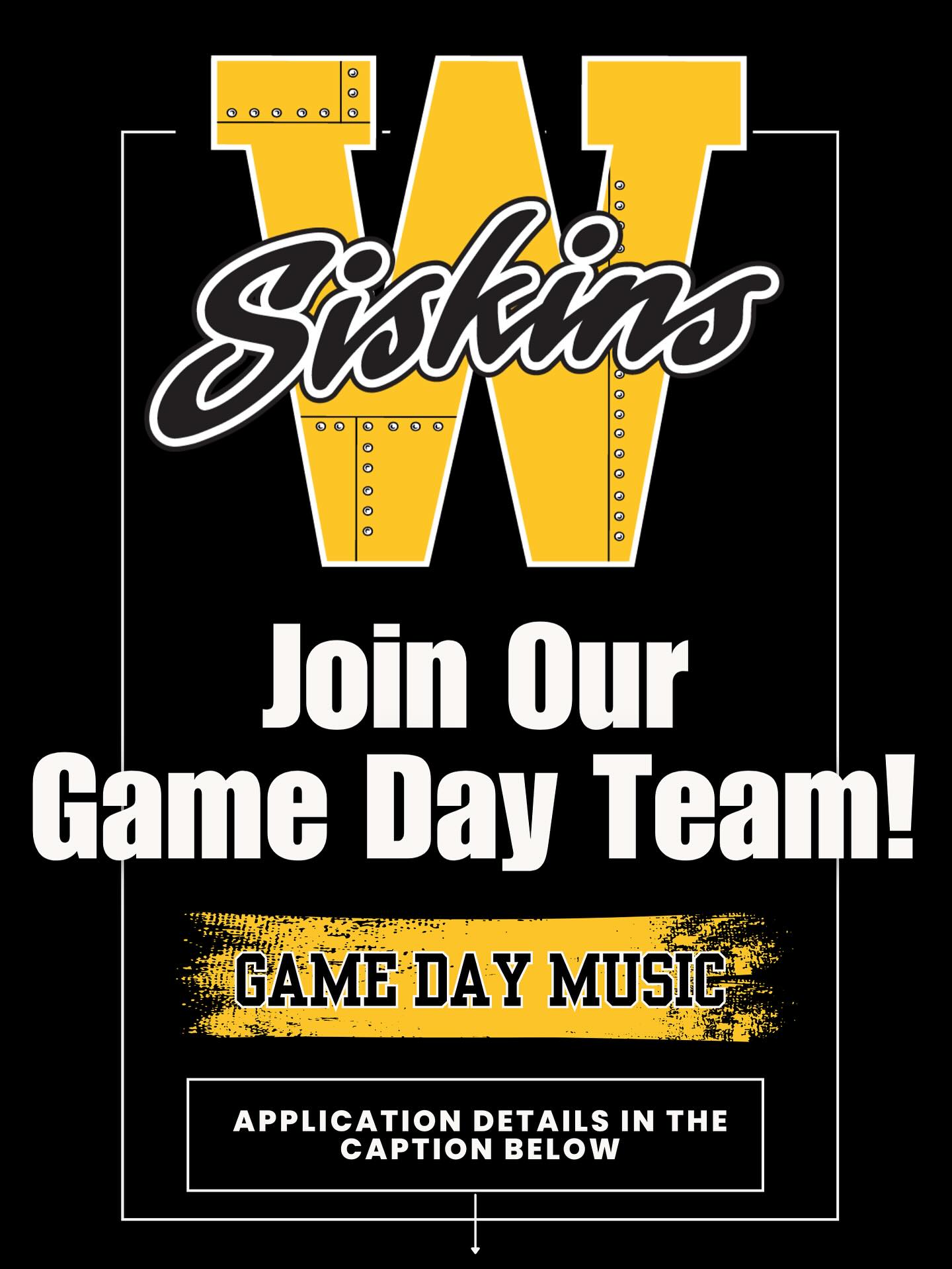 Join the Siskins Game Day Team! 🎵
We’re looking for someone to run music at our home games.
Sundays • Approximate commitment is 3 hours.

Interested? Email siskinsjrhockey@gmail.com